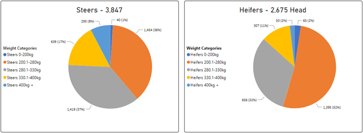 Steer and Heifer charts-Jul-21-2023-05-53-52-4663-AM