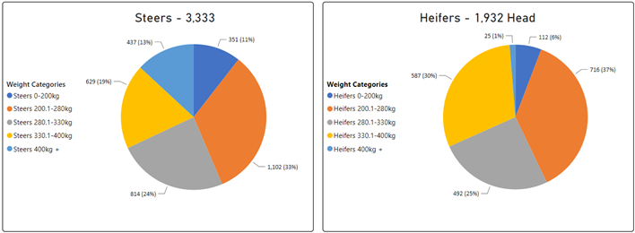 Steer and Heifer charts-Sep-01-2023-06-22-57-9500-AM