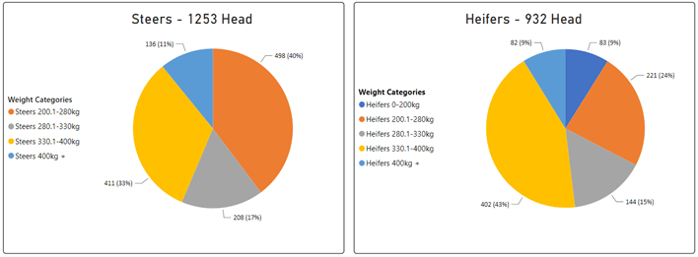 Steer and Heifer charts