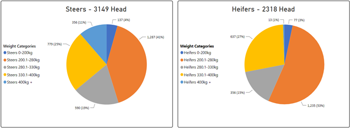 Steer and heifer charts-Jun-16-2023-06-46-45-6508-AM