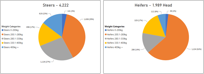 Steers & Heifers Graph