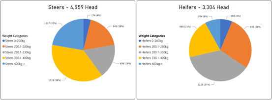 Steers Heifers Graph-1