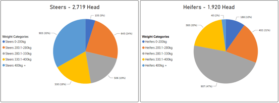 Steers Heifers Graph