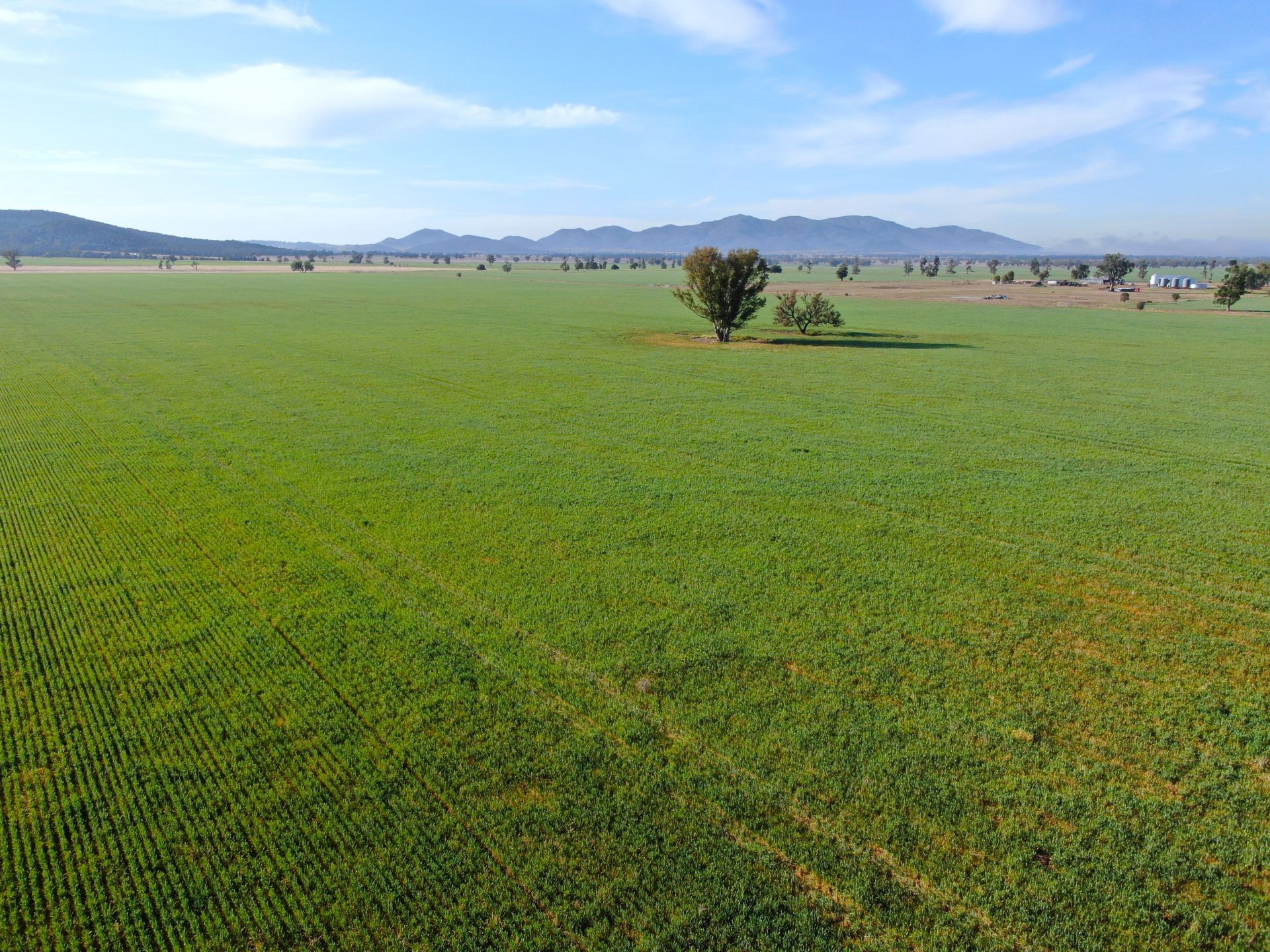 Rural property with pasture