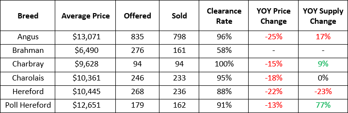 July bull sale results show 21% market contraction