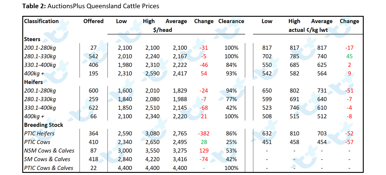 Table 2 Auctionsplus Queensland Cattle Prices cattle comments 11.02.2022-2