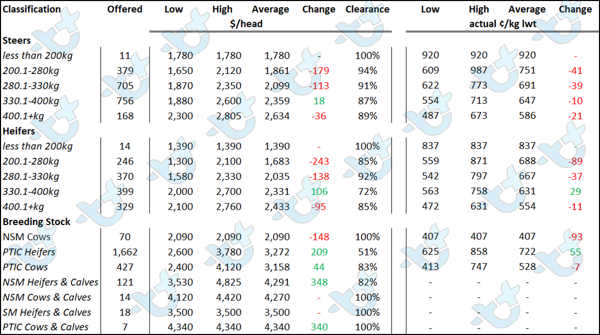 Table 3 - AuctionsPlus Angus Cattle Prices 1.04.22