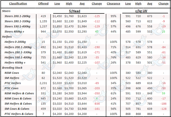 Table 3 AuctionsPlus Angus Cattle Prices 2.12.22