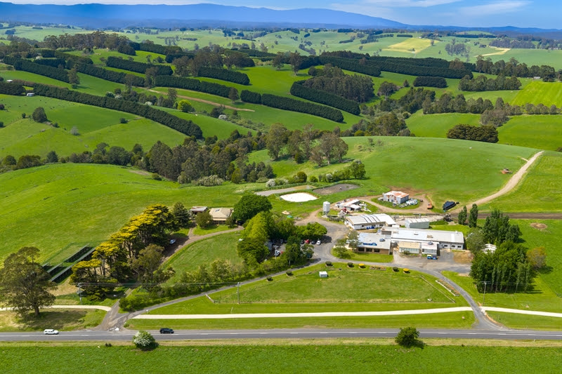 Tarago cheese farm 2