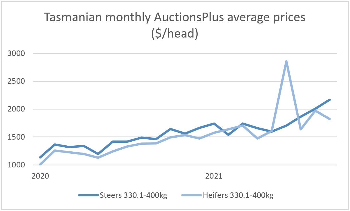 Tasmania feeling the cattle market heat in 2021 - Average Prices Graph