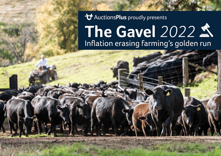 The Gavel 2022 AuctionsPlus-1