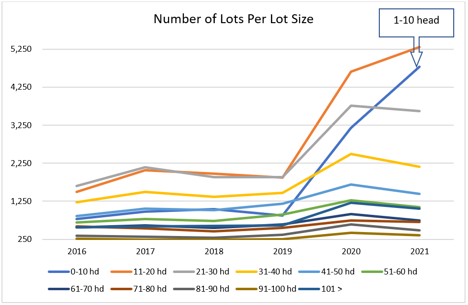 The rise of smaller lots of cattle on AuctionsPlus