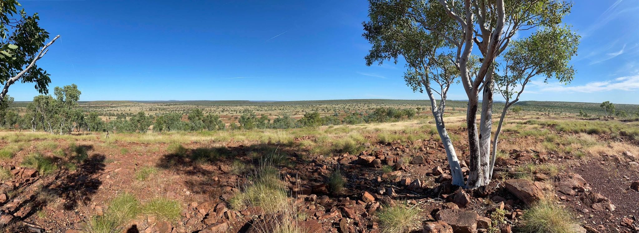 The view while fencing on Victoria River Downs. Credit Heytesbury Cattle Co - The Bull’s Head Bugle.