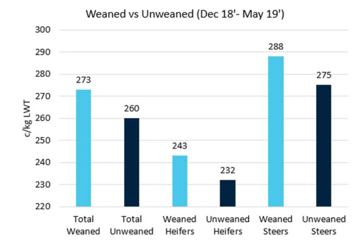 To wean or not to wean… that is the question 1