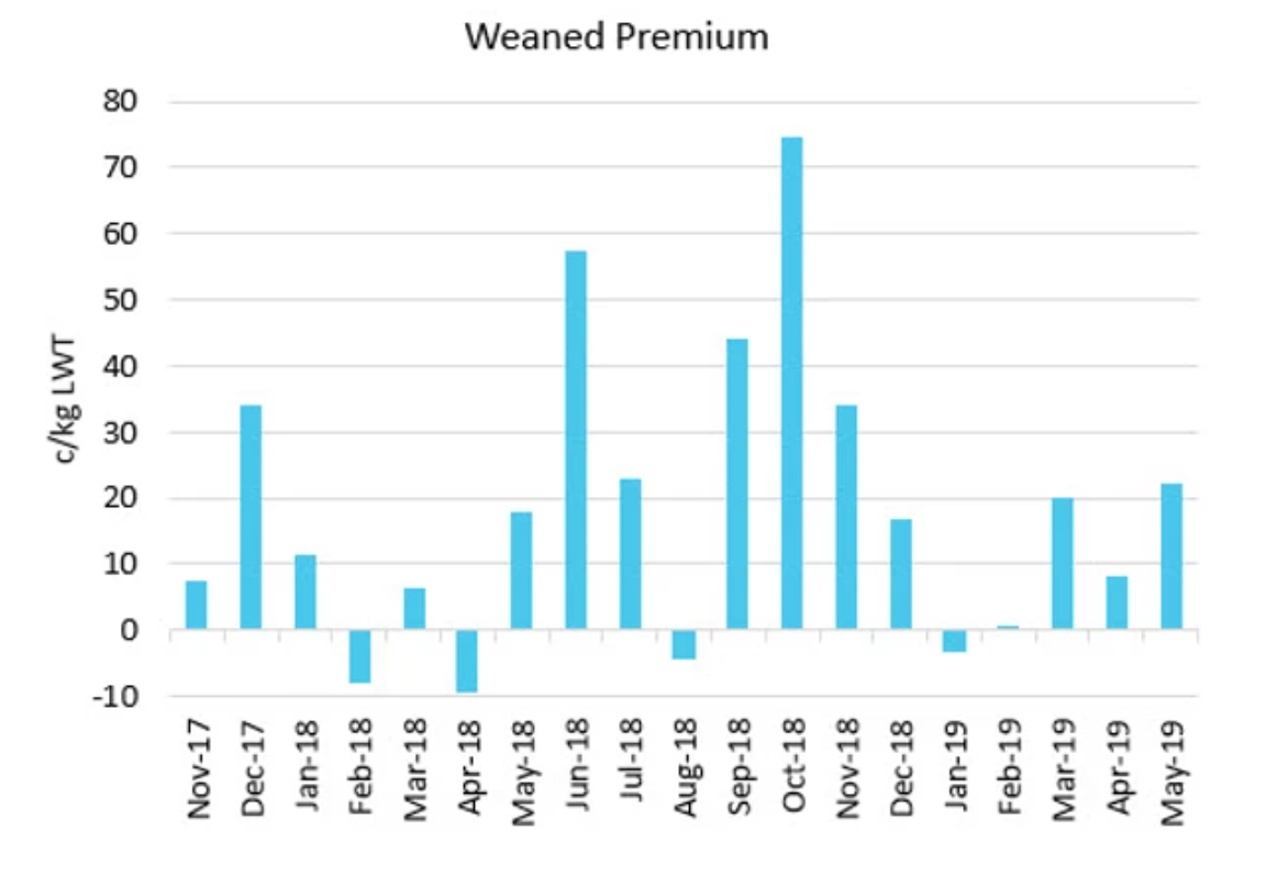 To wean or not to wean… that is the question 2