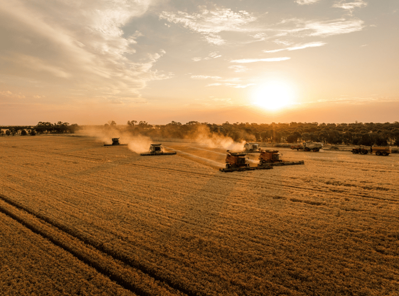 Torrumbarry Farms Aggregation