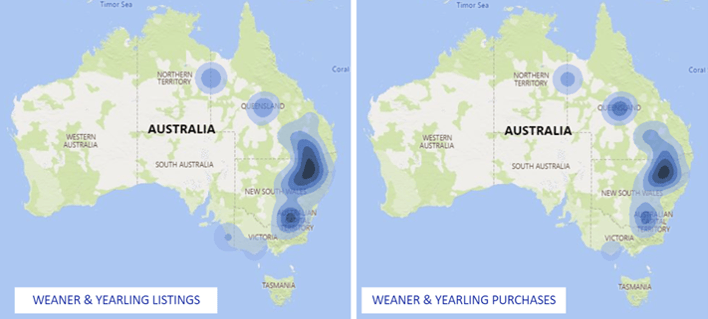 W & Y Maps