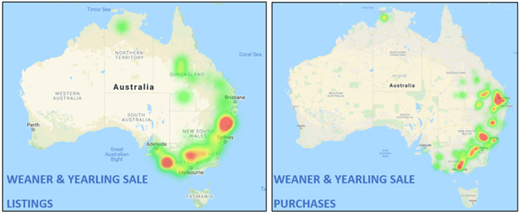 W&Y Heatmap