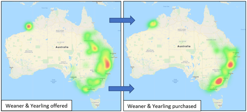 Weaner & Yearling Offered Purchased Graph