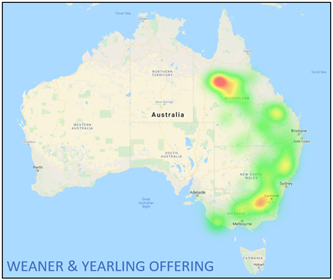 Weaner & Yearling Offering