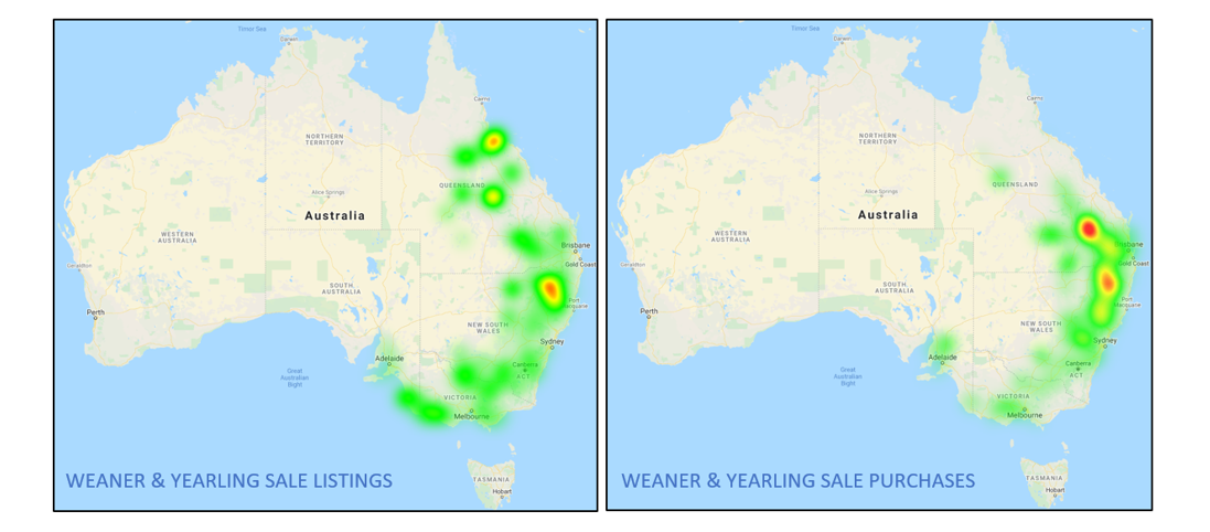 Weaner & Yearling Sales Listing and Weaner and Yearling Sale Purchase Cattle Comments 18.02.2022