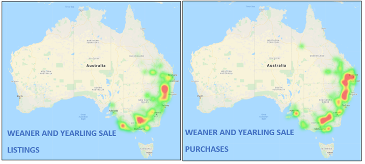 Weaner and Yearling Sale Listings and Purchases Heat Map Cattle Comments 11.02.2022