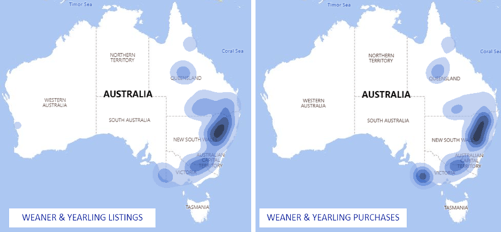 Weaner and yearling listings and purchases 25.11.22