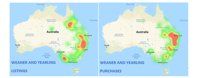 Weaner and yearling listings and purchases 4.3.22