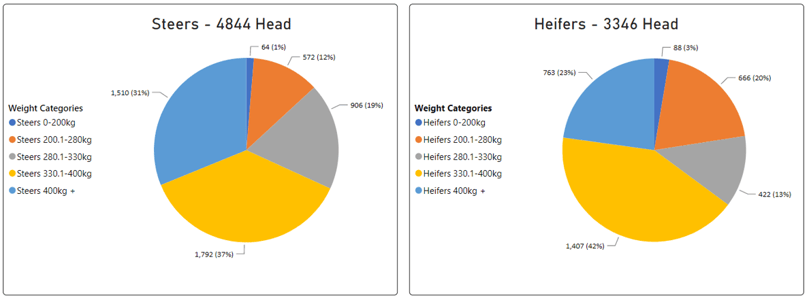 Weekly Cattle Comments - 17.02.23_4