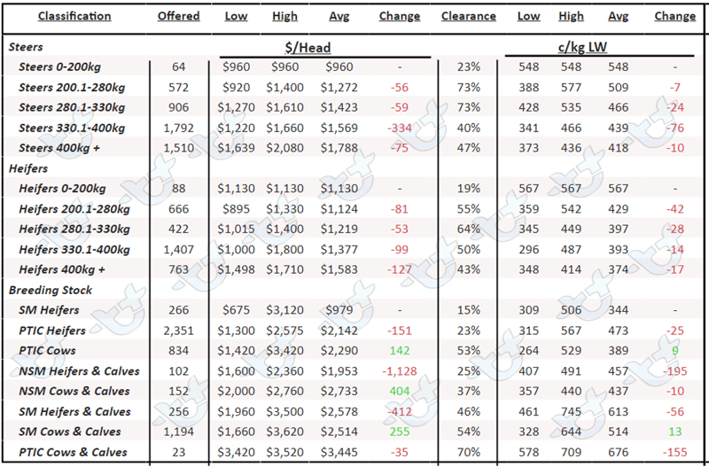 Weekly Cattle Comments - 17.02.23_5