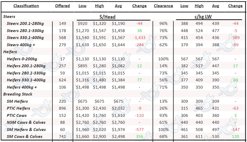 Weekly Cattle Comments - 17.02.23_6