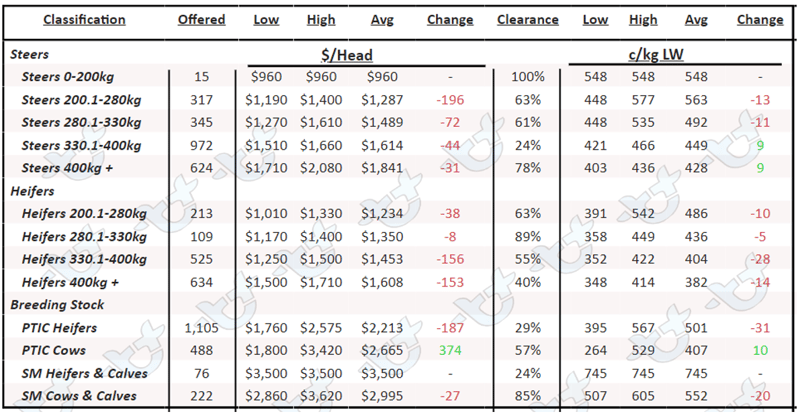 Weekly Cattle Comments - 17.02.23_7