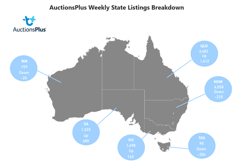 Weekly Cattle Comments - 17.02.23_9