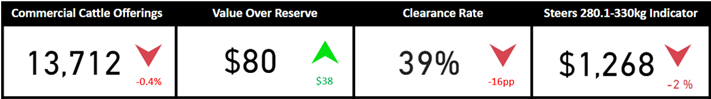 Weekly Cattle Comments - 24.03.23_1