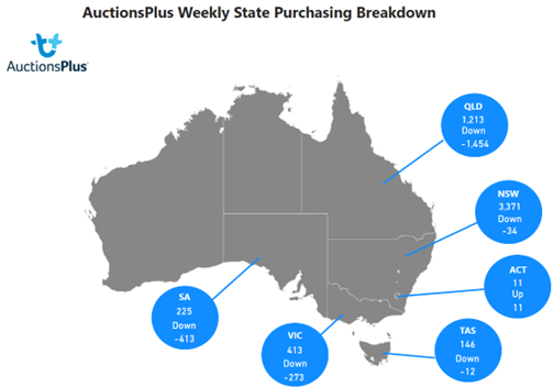 Weekly Cattle Comments - 24.03.23_10