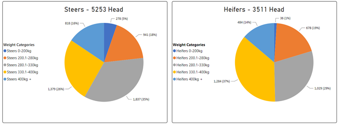 Weekly Cattle Comments - 24.03.23_4