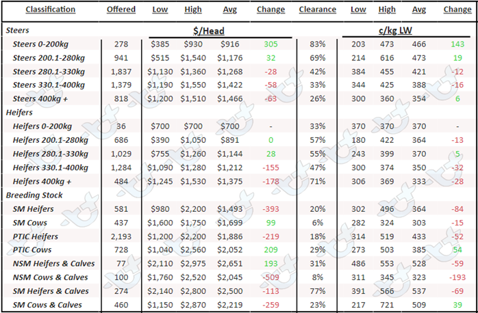 Weekly Cattle Comments - 24.03.23_5