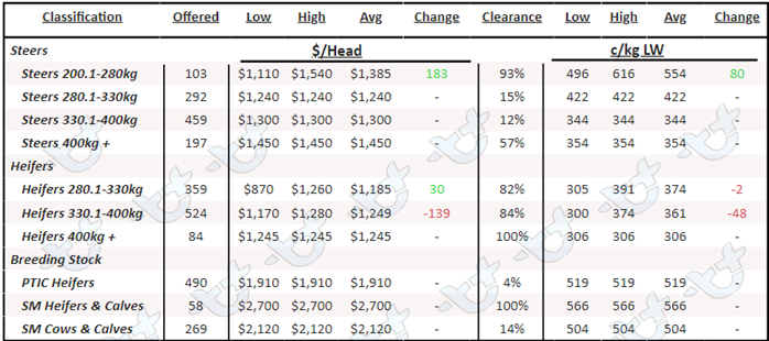 Weekly Cattle Comments - 24.03.23_6