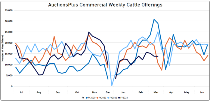 Weekly Cattle Comments - 24.03.23_8