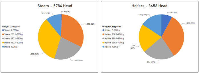 Weekly Cattle Comments - 3.03.23_4