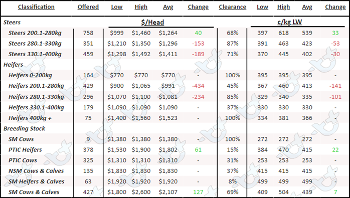 Weekly Cattle Comments - 3.03.23_6