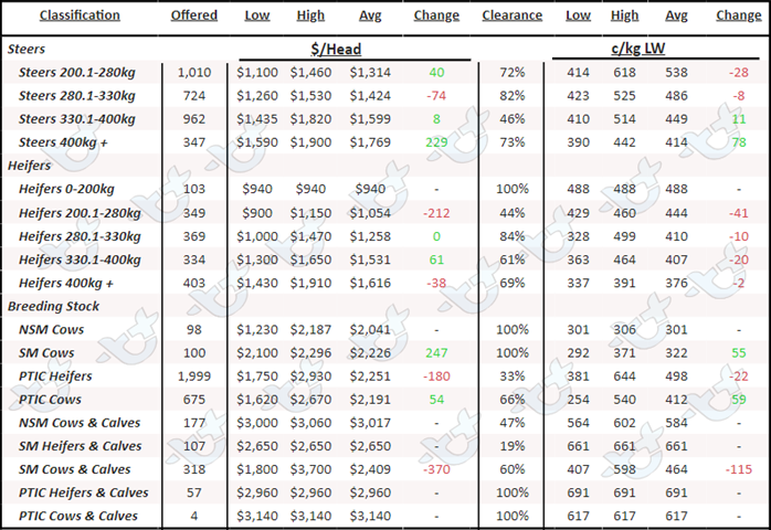 Weekly Cattle Comments - 3.03.23_7