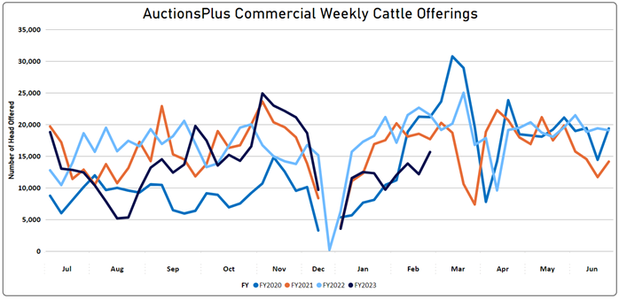 Weekly Cattle Comments - 3.03.23_8