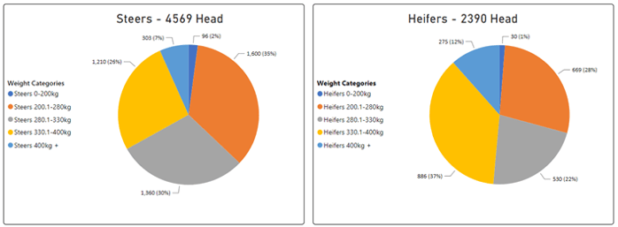 Weekly Cattle Comments - 31.03.23_5