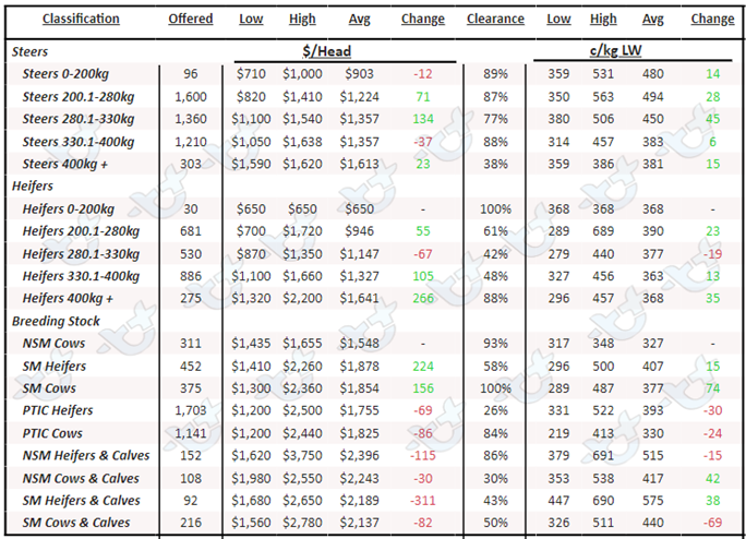 Weekly Cattle Comments - 31.03.23_6