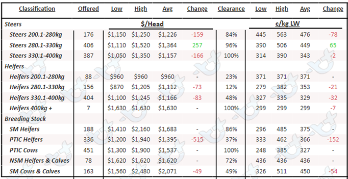 Weekly Cattle Comments - 31.03.23_7