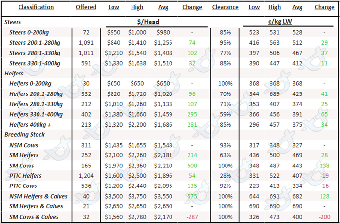 Weekly Cattle Comments - 31.03.23_8