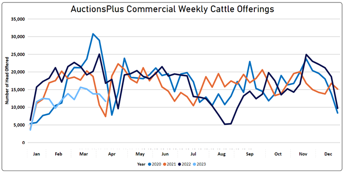 Weekly Cattle Comments - 31.03.23_9