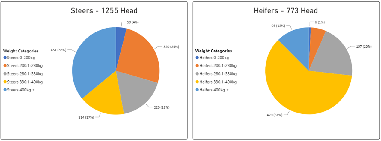 Weekly Cattle Comments - 6.01.23 - 3