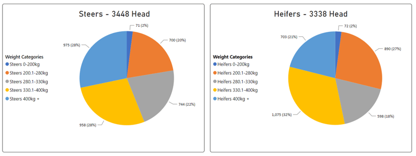 Weekly Cattle Comments 10.02.23_4